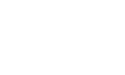 Snitch Logo